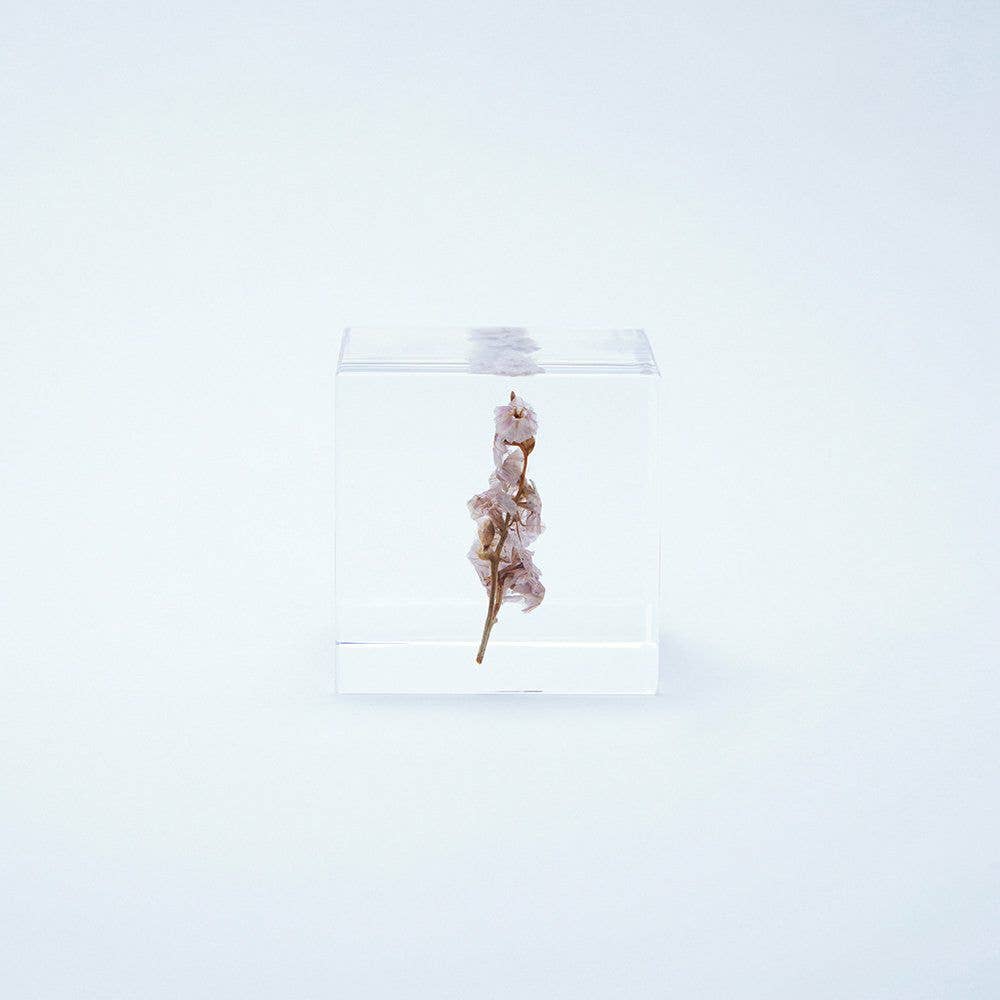 Sea Lavender