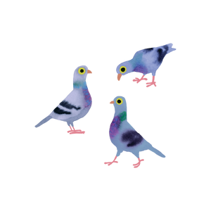 Pigeon Pals Tattoo Pair