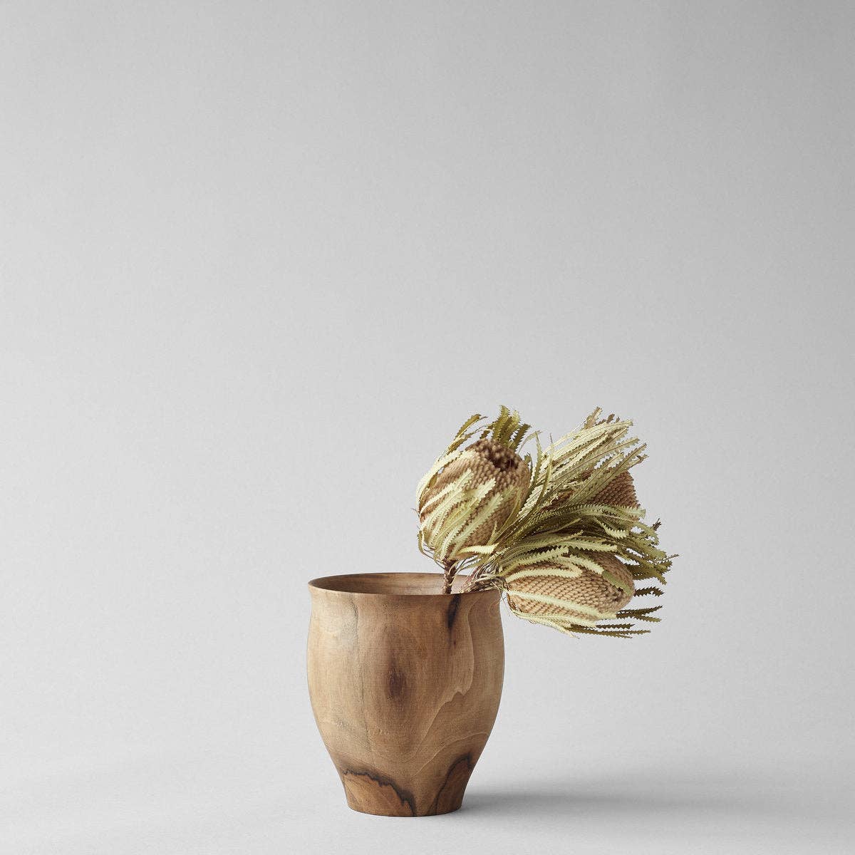 Set of Three Dried Natural Banksia