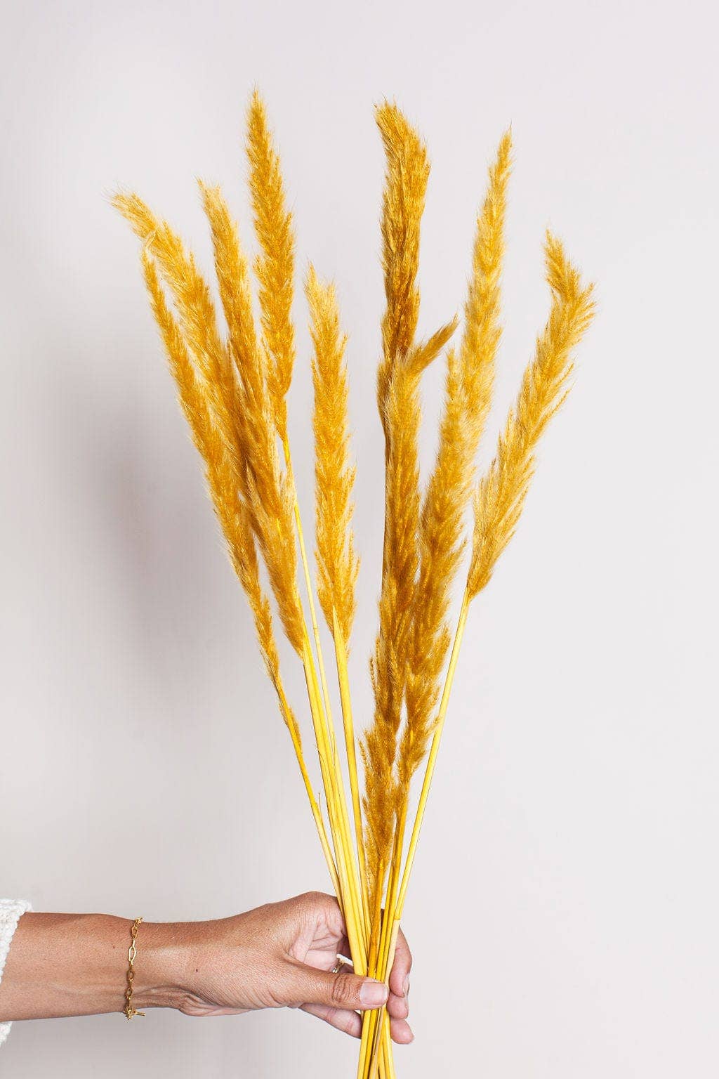 Mustard Pampas Grass