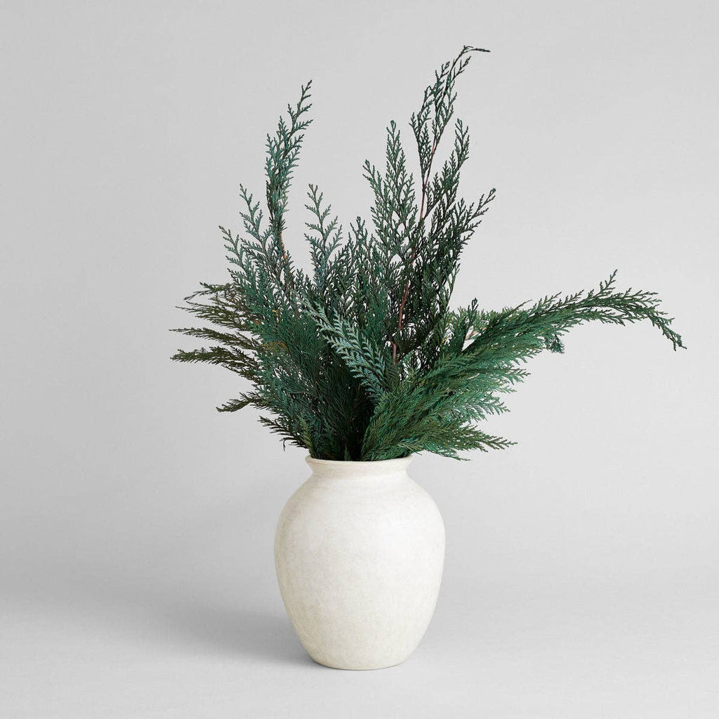 Preserved Cedar