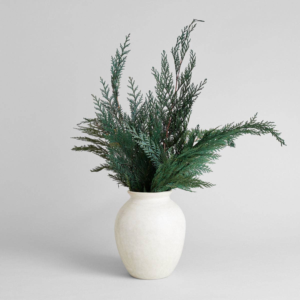 Preserved Cedar