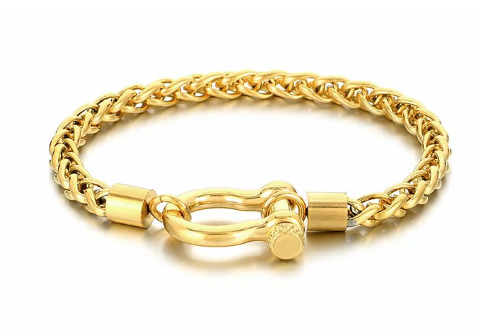 Horse Bit Carabiner Bracelet- Charm Bracelet
