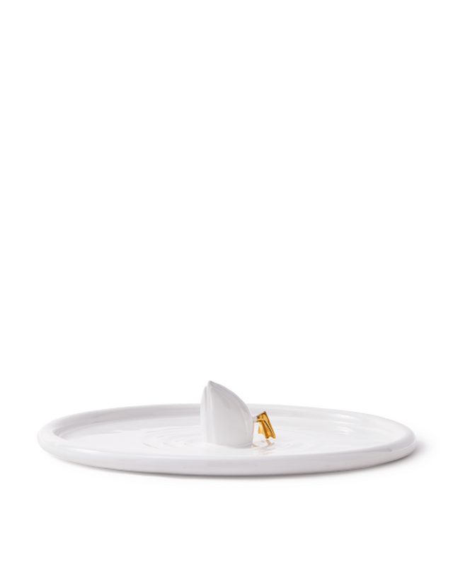 Diving Duck Plate