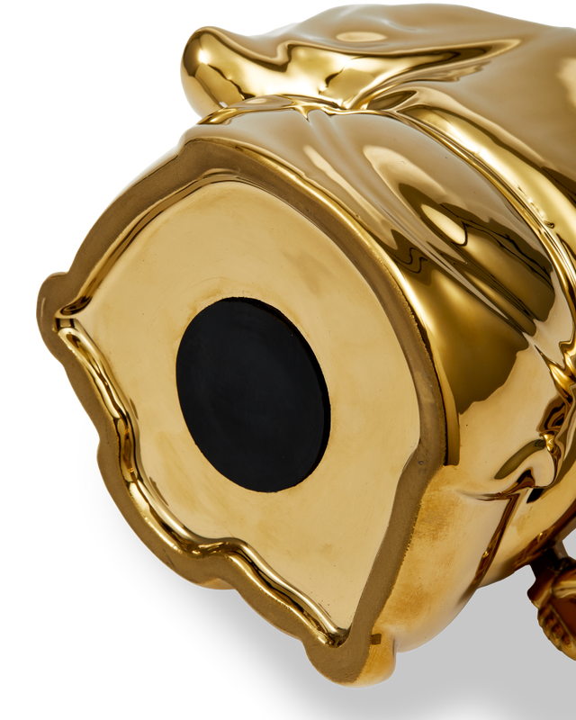 Funny Warrior Money Box
