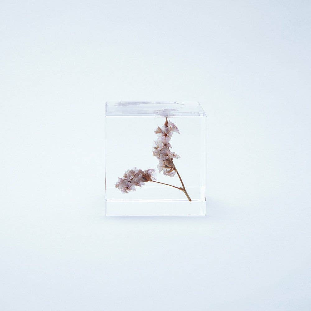 Sea Lavender