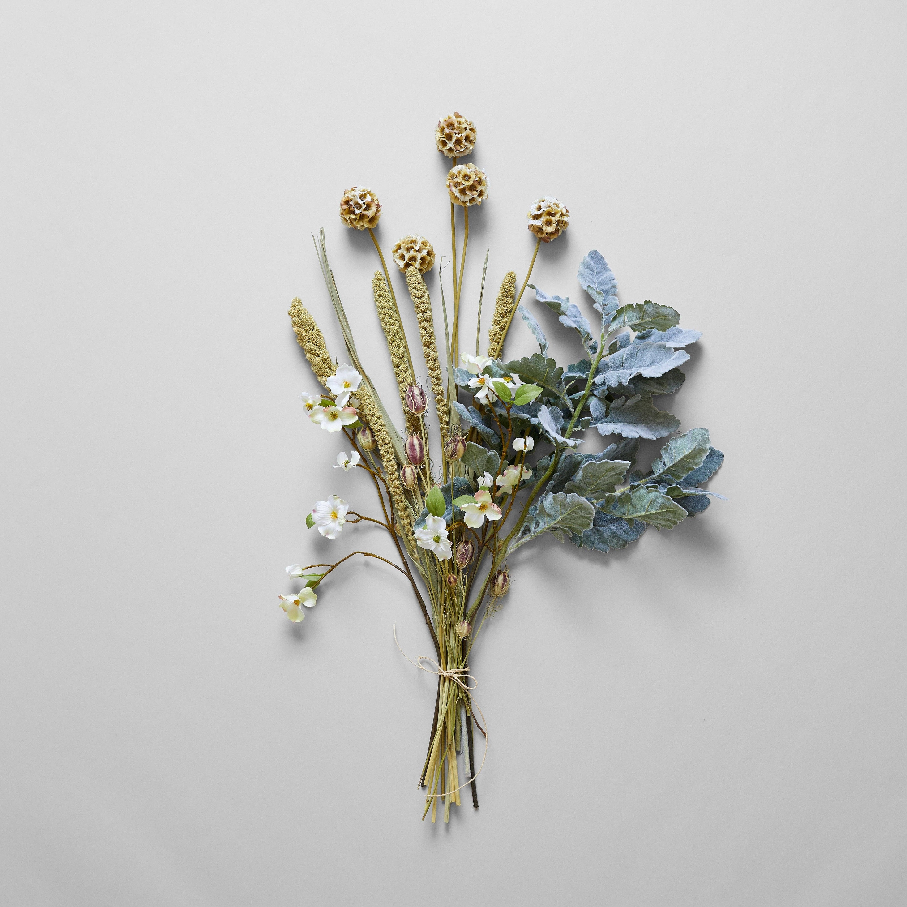 Dried Nigella Pods