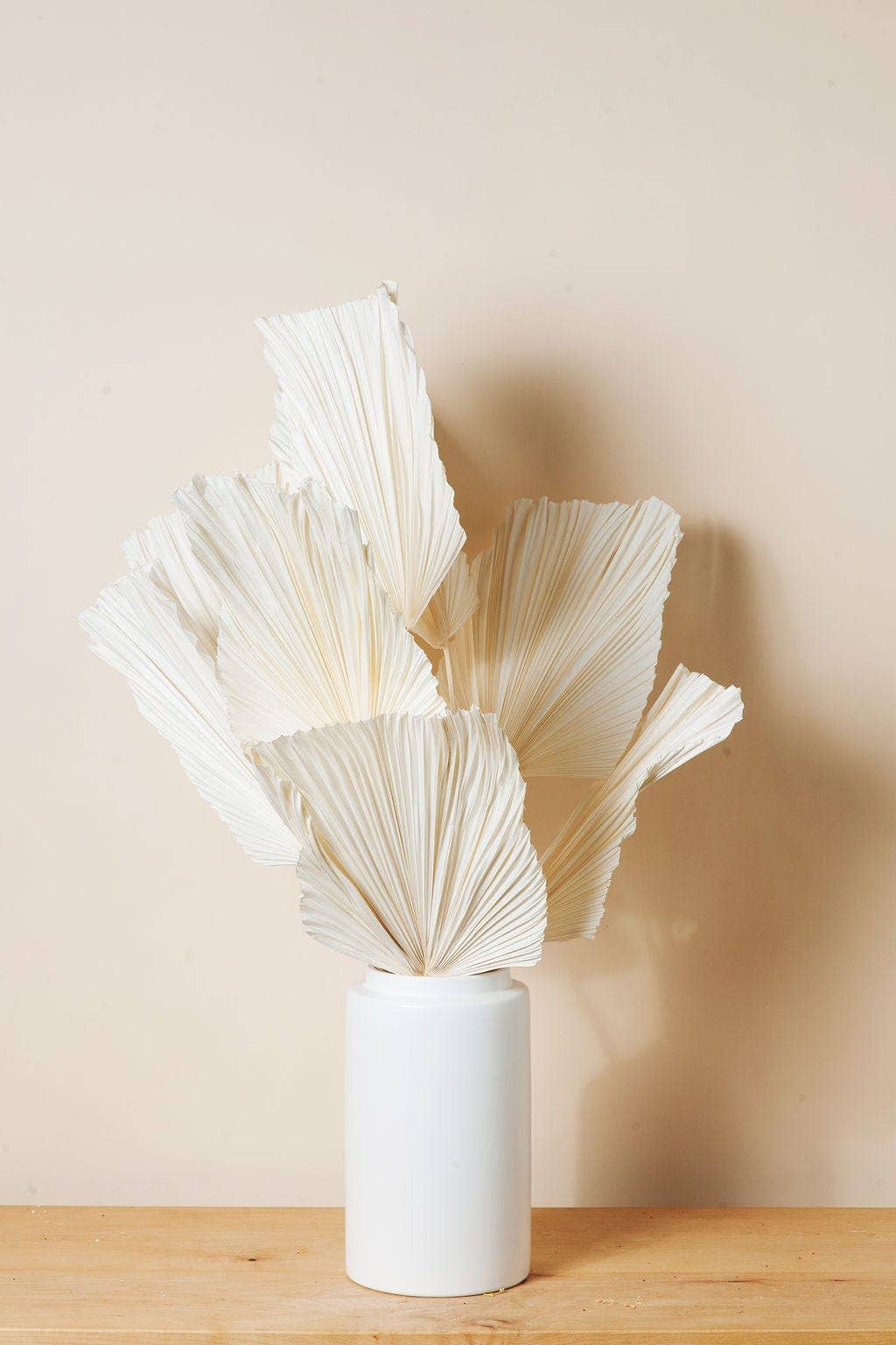 Dried White Spade Anahaw Palms