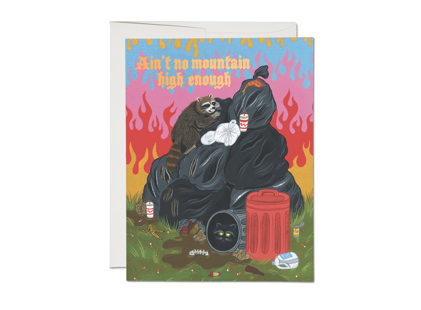 Raccoon Fun Congratulations Greeting Card