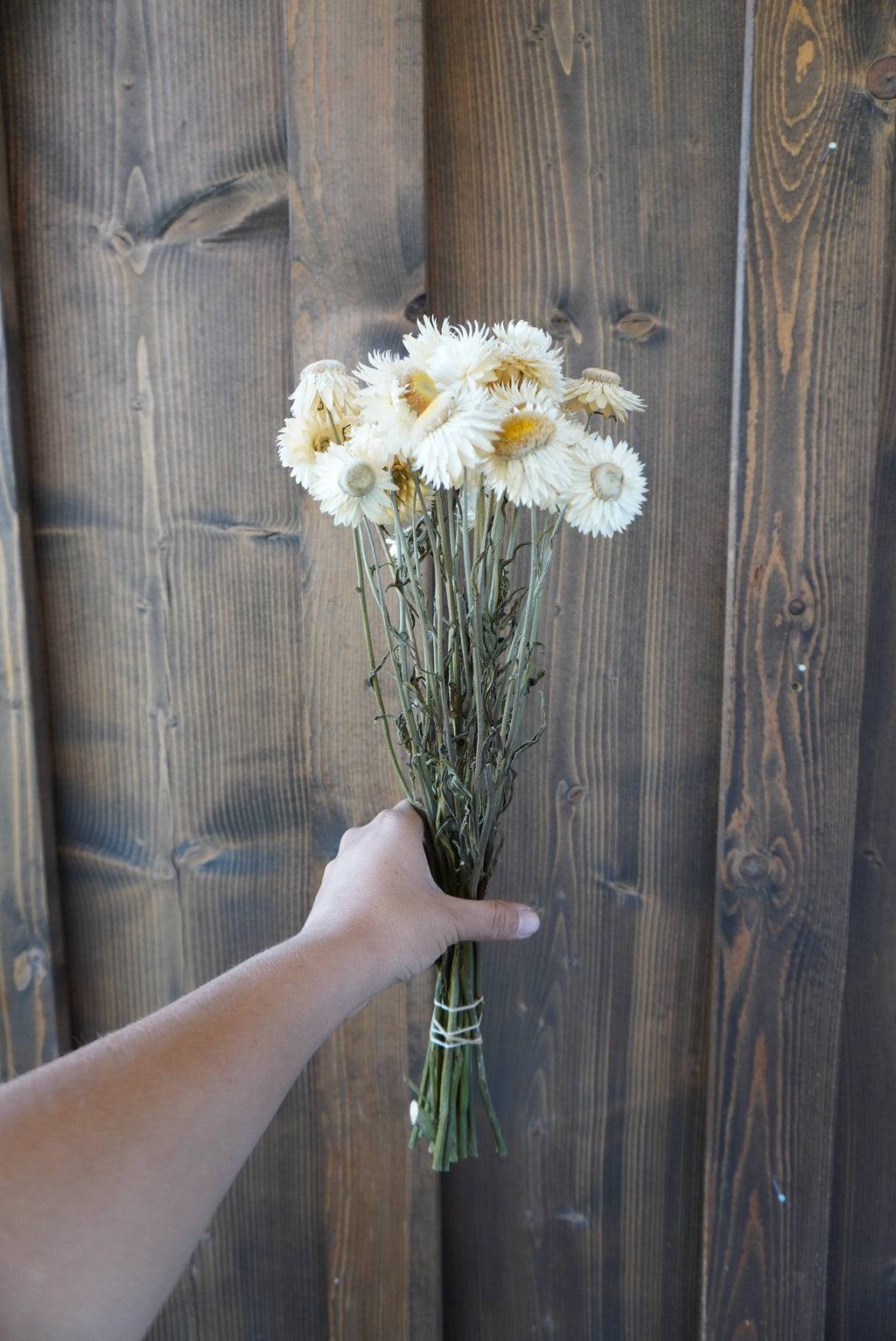 Dried White Strawflower Bouquet