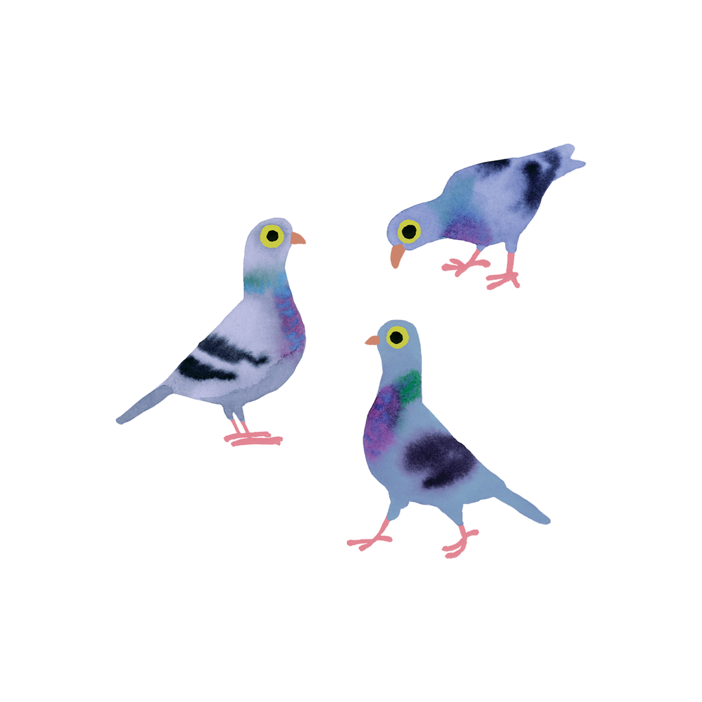 Pigeon Pals Tattoo Pair