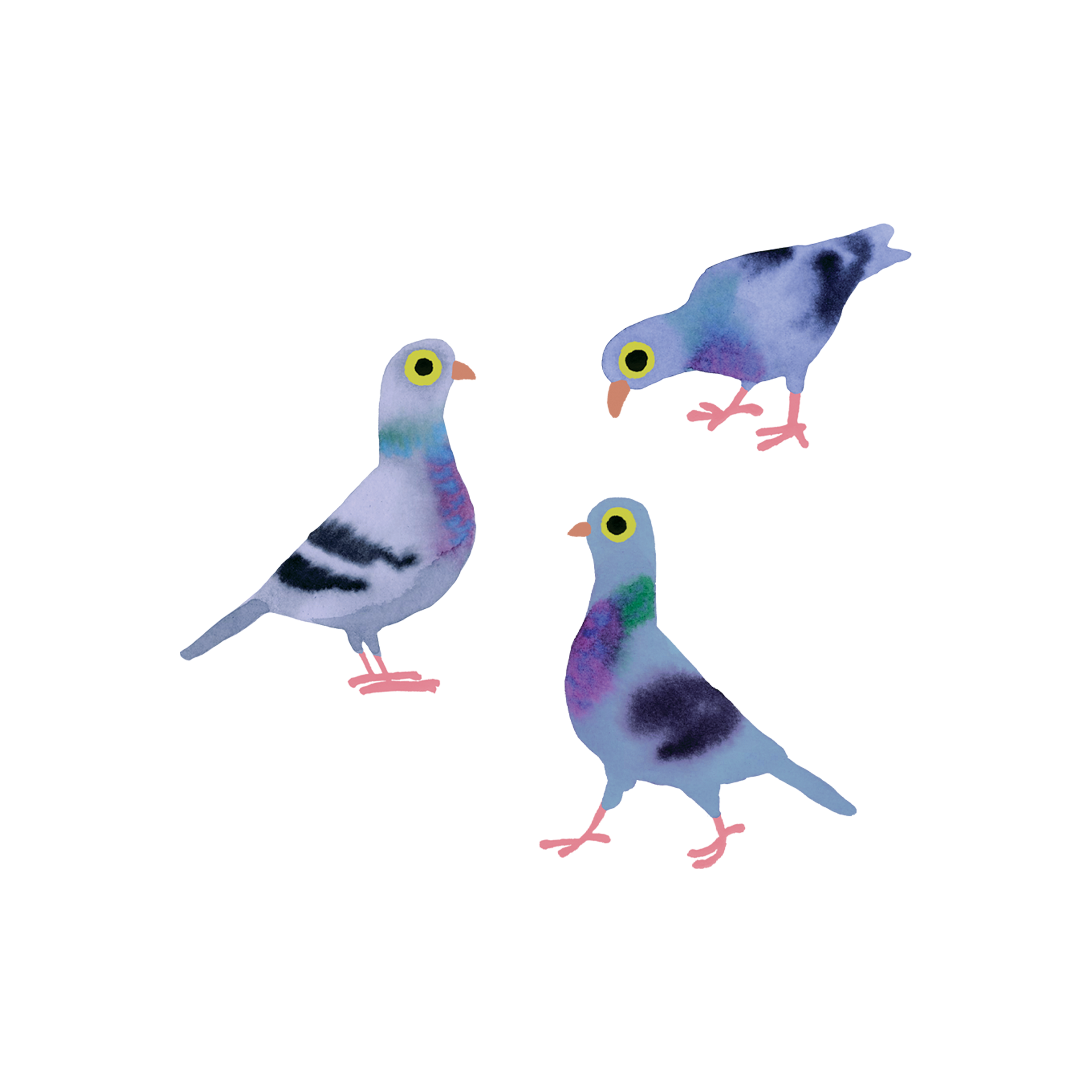 Pigeon Pals Tattoo Pair