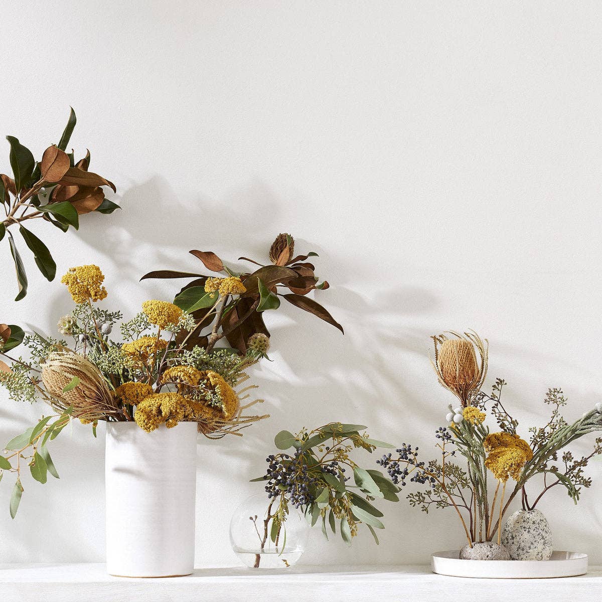 Set of Three Dried Natural Banksia