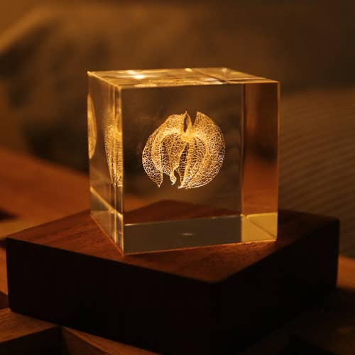 Apple of Peru