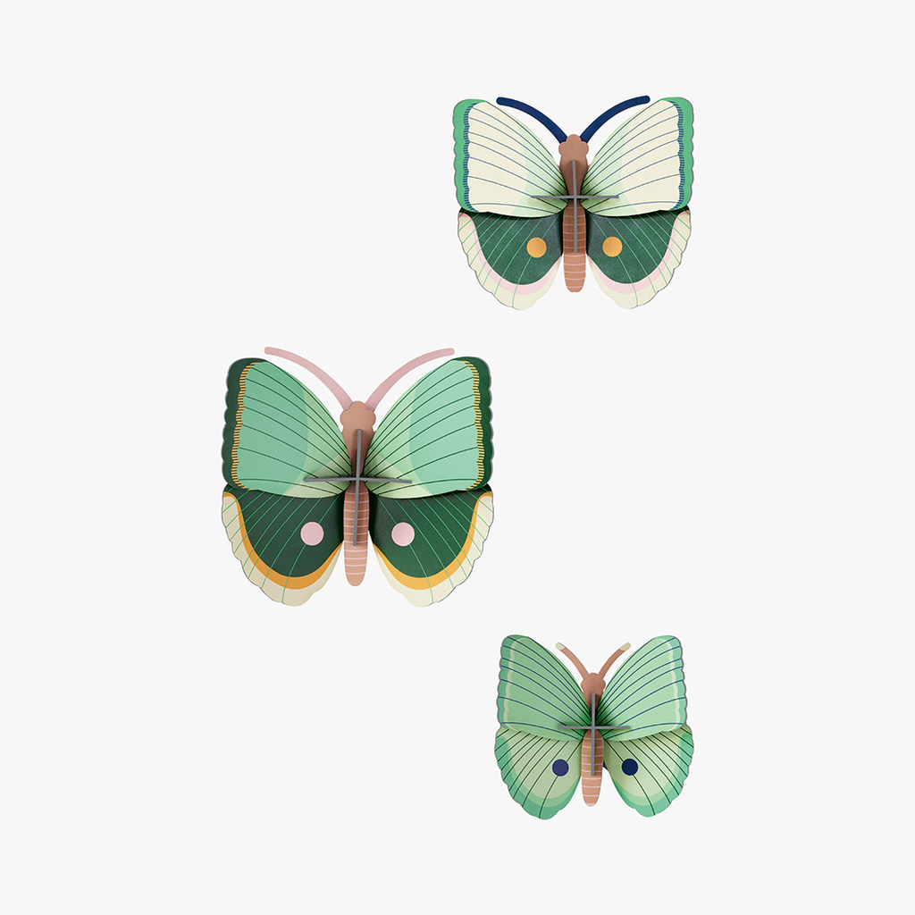 Papercraft Fern Striped Butterflies, set of 3