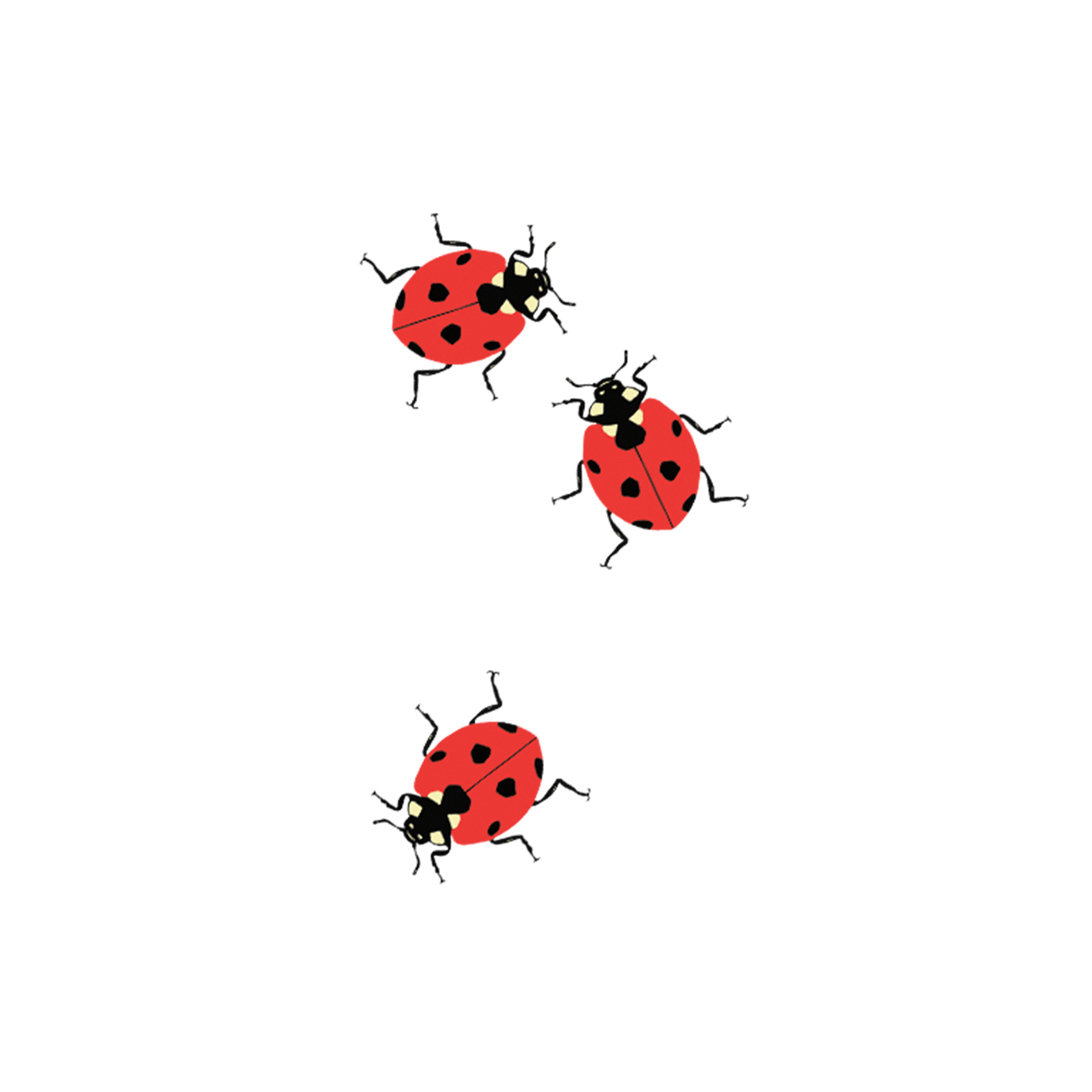 Ladybugs Tattoo Pair