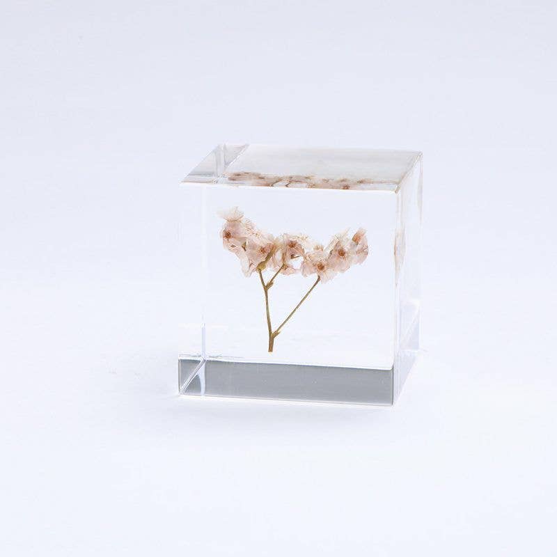 Sea Lavender