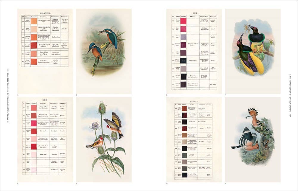 Anatomy of Color