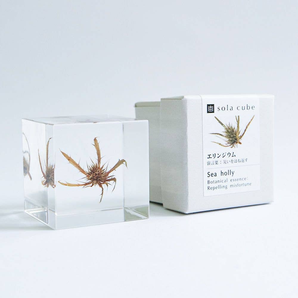 Sea Holly