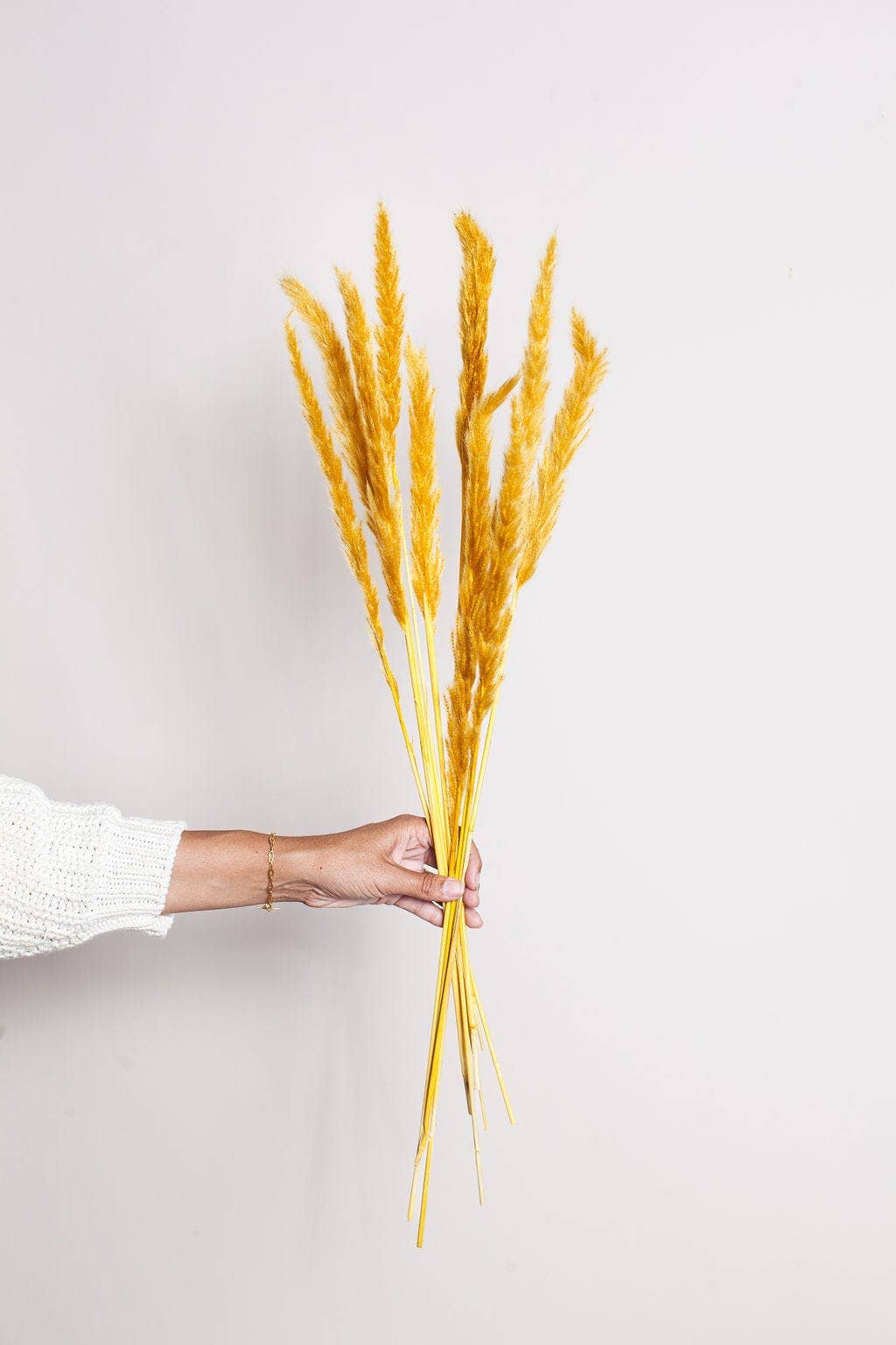 Mustard Pampas Grass