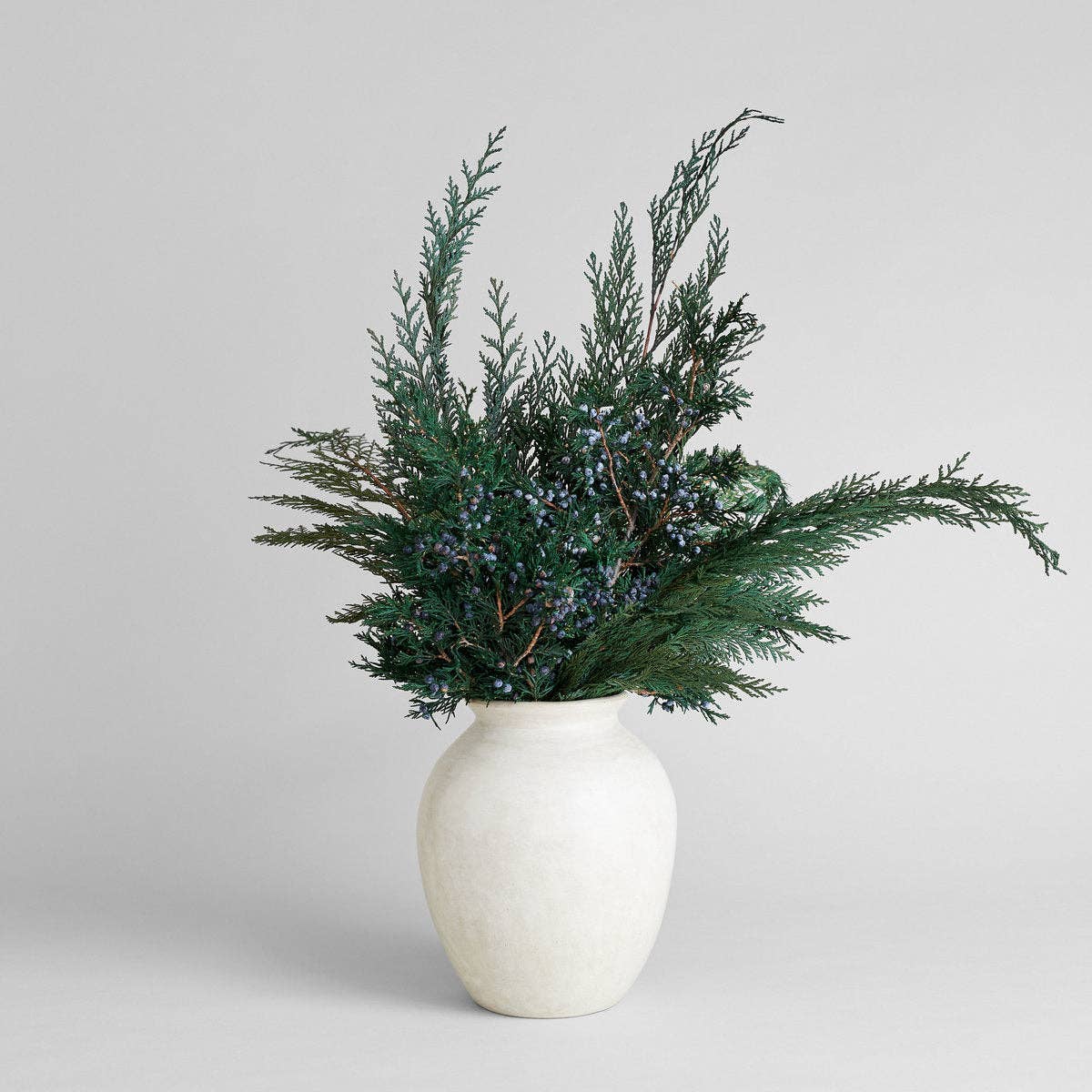 Preserved Cedar