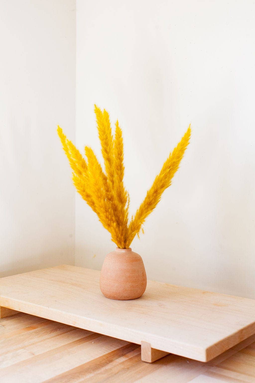 Mustard Pampas Grass