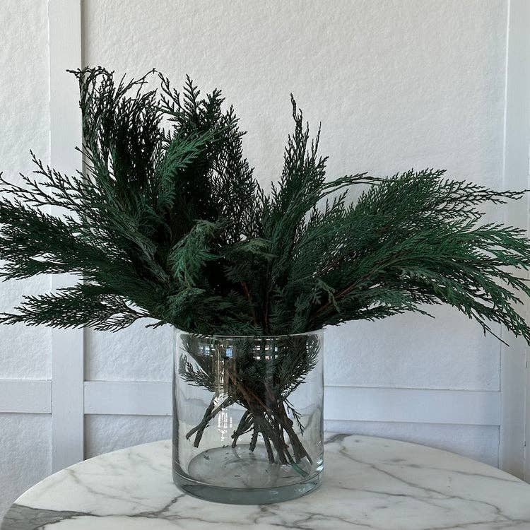 Preserved Cedar