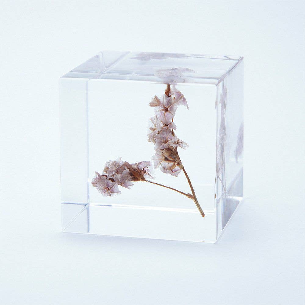 Sea Lavender