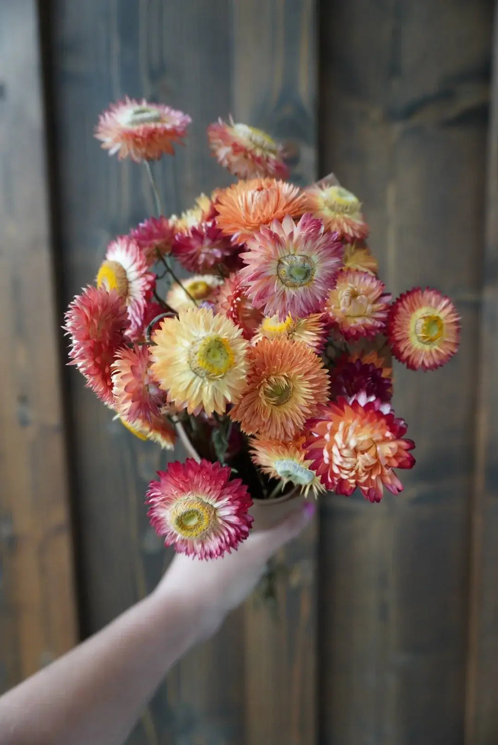 Dried Apricot & Peach Strawflower Bouquet