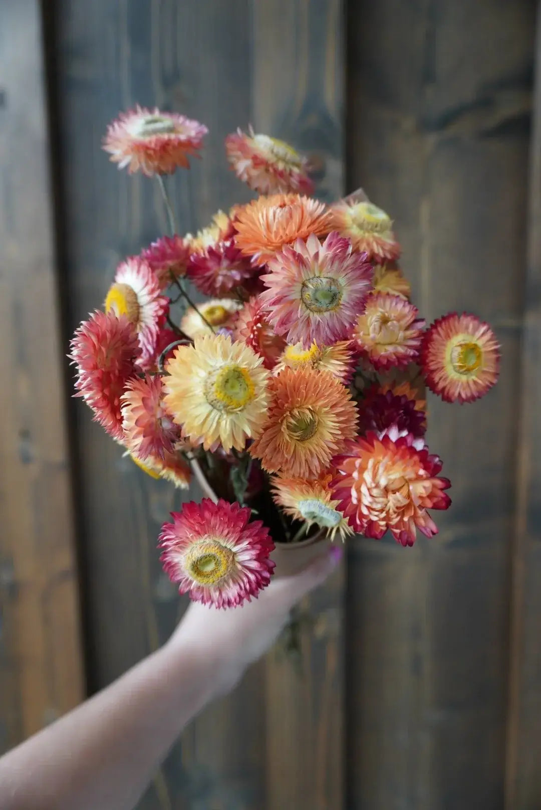 Dried Apricot & Peach Strawflower Bouquet