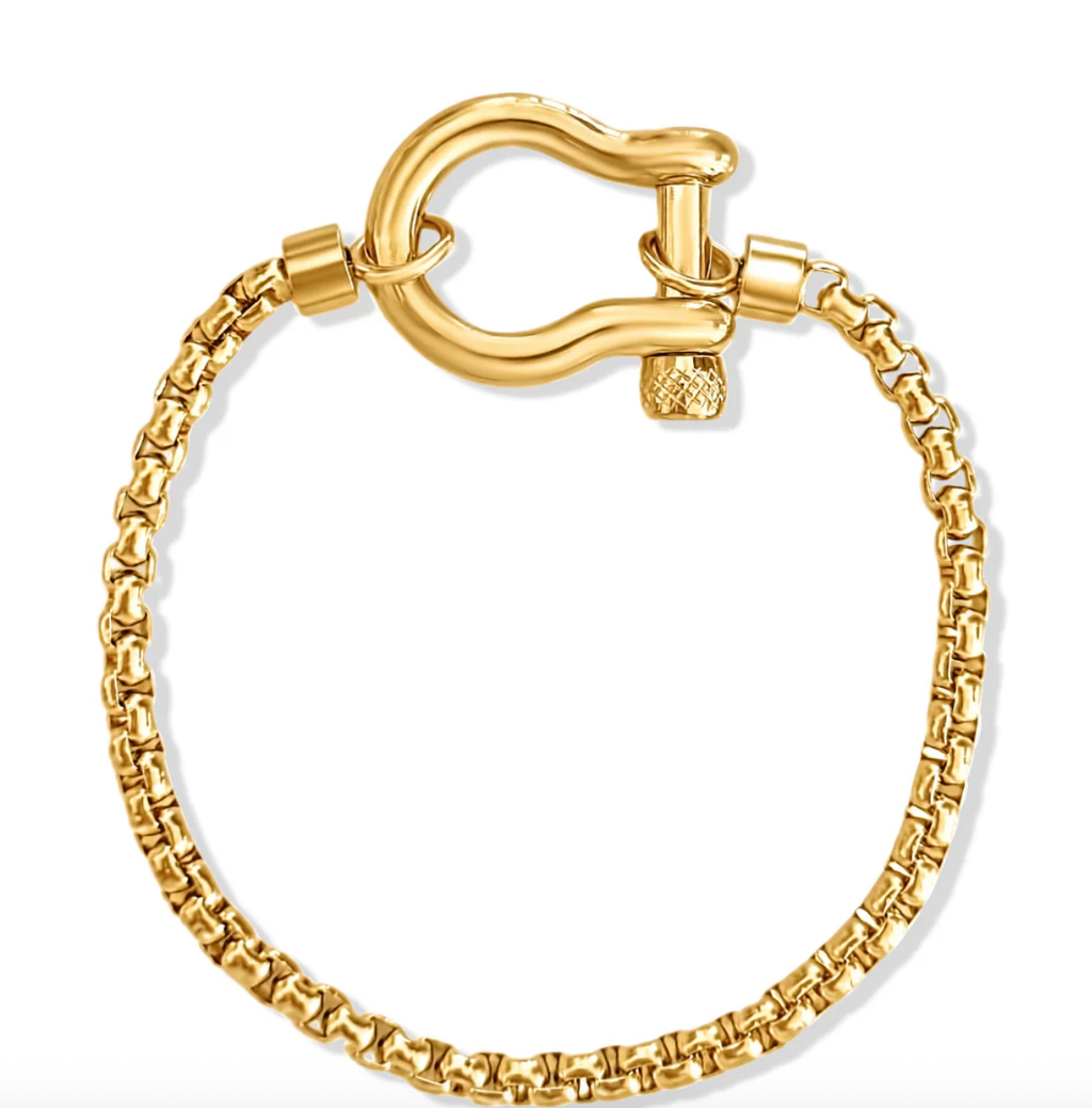 Horse Bit Carabiner Bracelet- Charm Bracelet