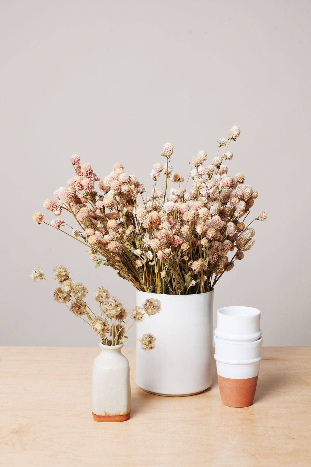 Dried Blush Globe Amaranth