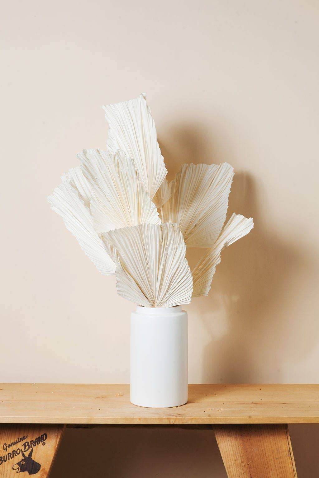 Dried White Spade Anahaw Palms