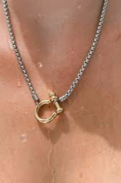 Carabiner Horse Bit Charm with Wheat Chain Stainless Necklace