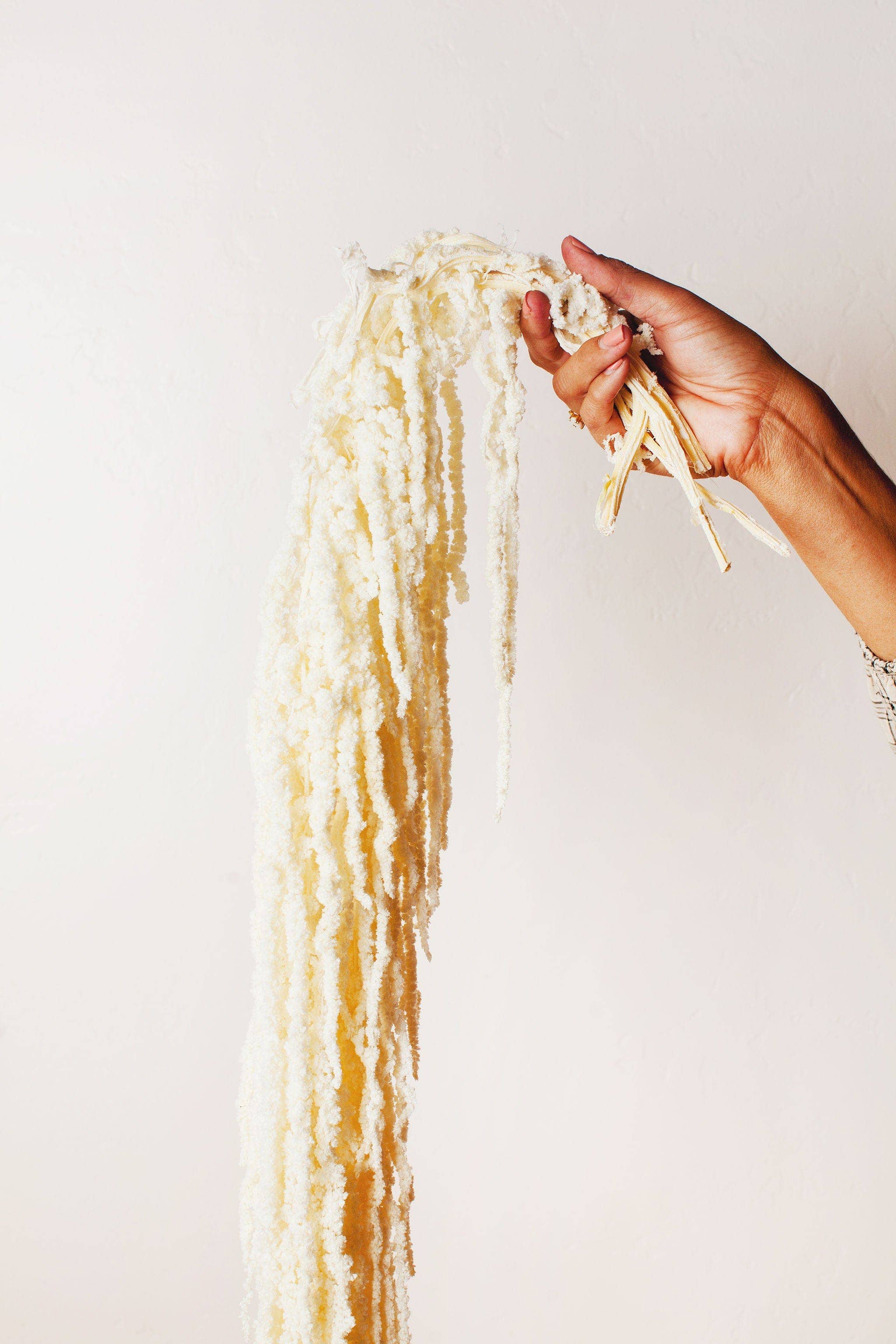 White Hanging Amaranthus